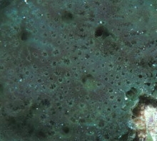 Photo:Picture from Guam; see their site